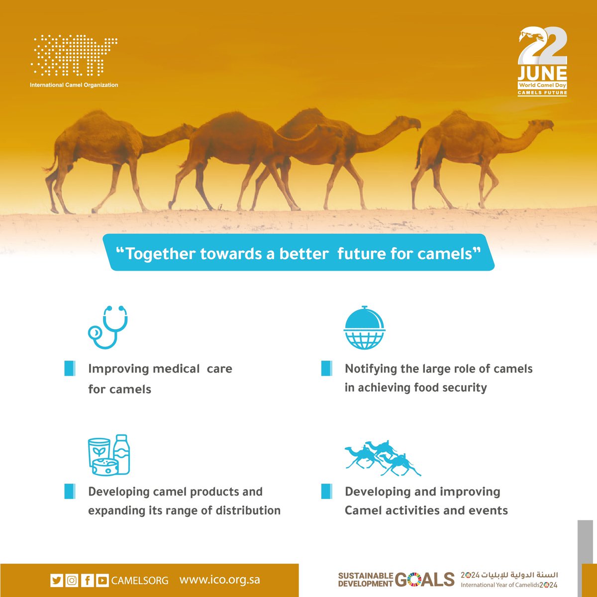 ‎‏ International Camel Organization tweet media