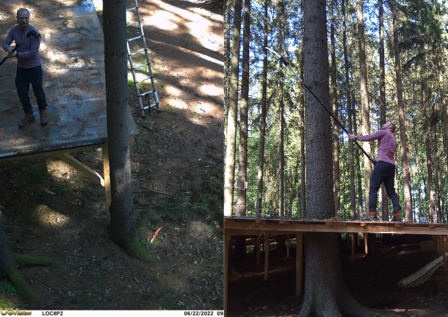 RModlinger's tweet photo. When the photo trap is taking pictures of dead branches, it is necessary to remove them. #EXTEMIT-K https://t.co/gUy6PJXWkT