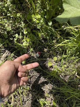 Time to announce the #NFTGiveaway winners of #MetAmsHunt <a href="/met_ams/">MET AMS</a> 

🎉 Woohoo!

<a href="/HGesbert/">Hugo</a> - you win a @ZenAcademy_  by <a href="/Zeneca_33/">Not @Zeneca</a>  Genesis Token

<a href="/karanx5/">Karan</a> and <a href="/BornerHolger/">Holger Börner</a> - you each win a @meta_morphies 

DM us your wallet addresses and we will process your prizes.