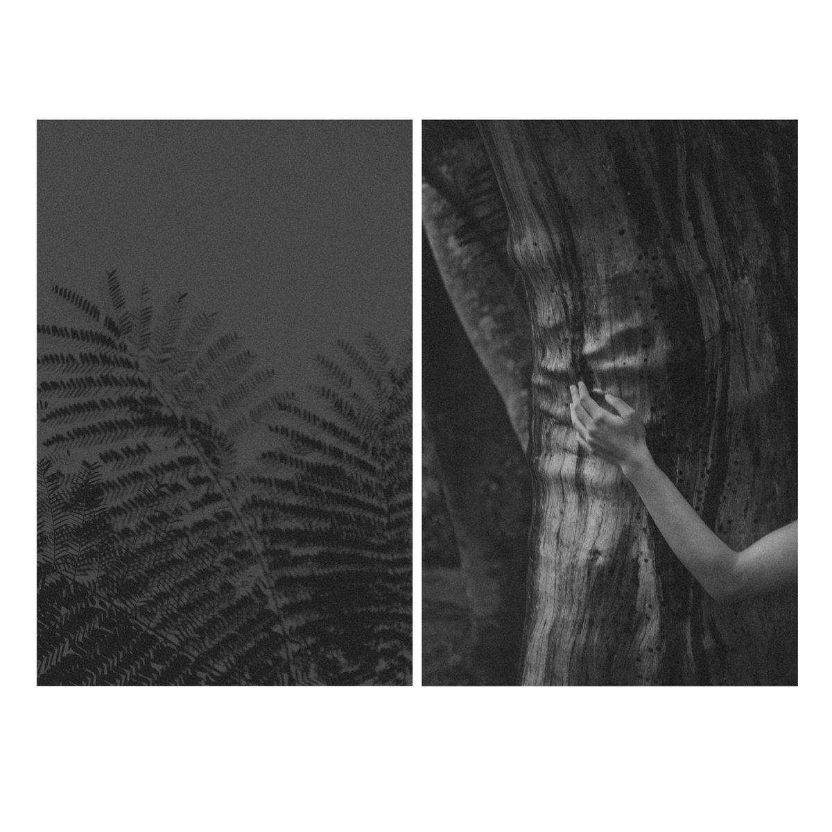 Michèle Hernandez // Brizna