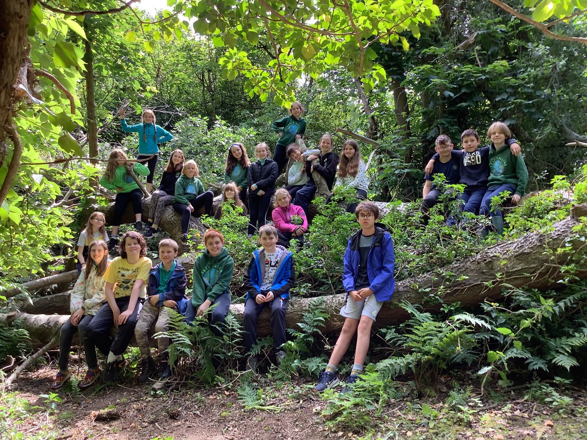 blackhallPS's tweet photo. P7B had great fun problem solving how to build different styles of shelters and rooms this morning with Gus and Alisa from Earth Calling. #earthcalling #outdoorlearning https://t.co/SnXuWLHH7D