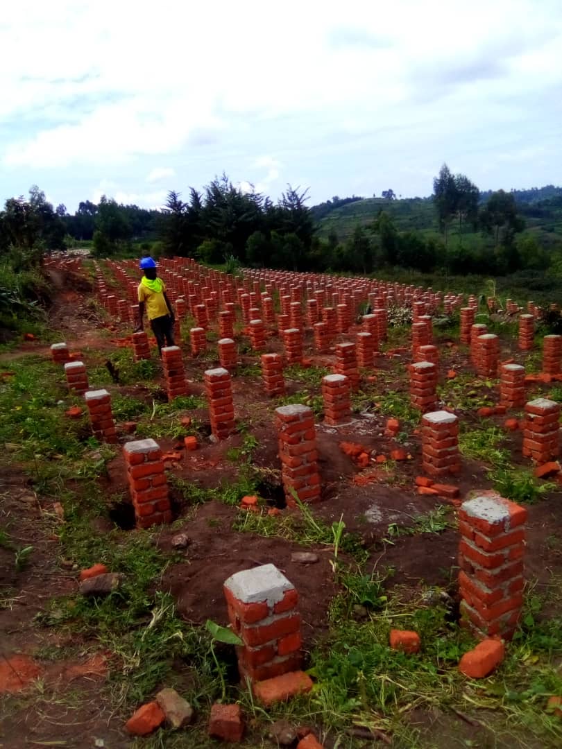 Construction de la station de lavage et les piliers et tables pour le séchage de #café à Ndrele, Ituri #RDCongo, <a href="/WHH_DRC/">WHH DR Congo - Welthungerhilfe</a>, en coopération avec la coopérative Kawa Maber financée par <a href="/giz_gmbh/">GIZ</a>.<a href="/Welthungerhilfe/">Welthungerhilfe (WHH)</a> <a href="/BMZ_Bund/">Bundesentwicklungsministerium</a> <a href="/Allemagne_RDC/">Allemagne RDC</a>