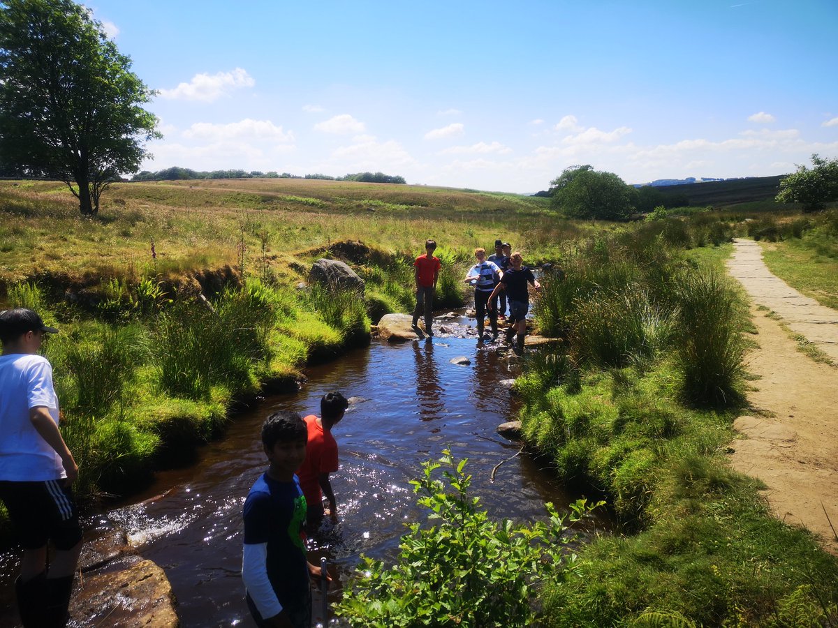 Amy Lemon tweet media