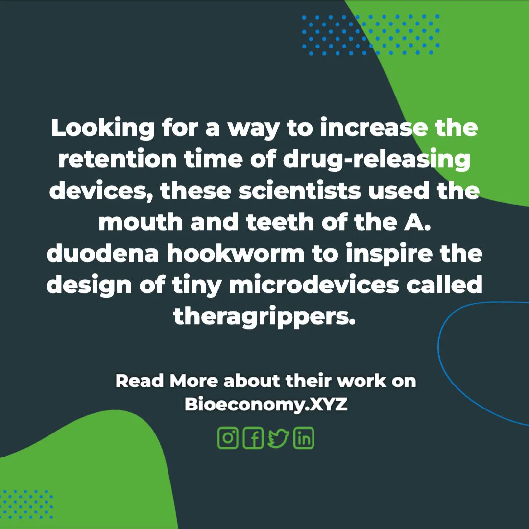 "You see different things over your life and often it registers and then you move on. And then at some point you are looking for a solution to something and then it clicks." —Dr. Florin M. Selaru buff.ly/3QzdMs4