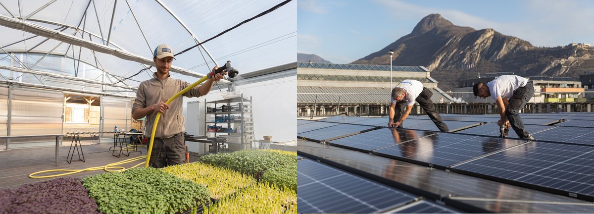 GreenGrenoble22's tweet photo. Vous souhaitez trouver un métier qui correspond à vos valeurs et qui a un impact positif sur l'environnement ? Rendez-vous à partir de demain au forum des métiers de la transition écologique à @Alpexpo💼 
👉Organisé par @GrenobleAlpes
👉https://t.co/xdofhVoOWJ 
#doncjagis https://t.co/N8aNERtuyX