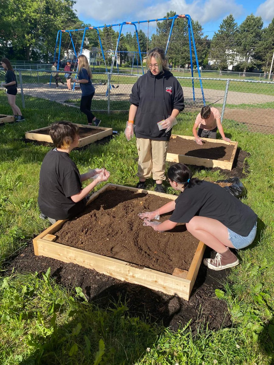 BethDoiron tweet media