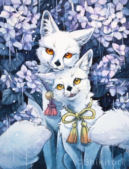 「雨やまないねぇ」
「……そうだね」 