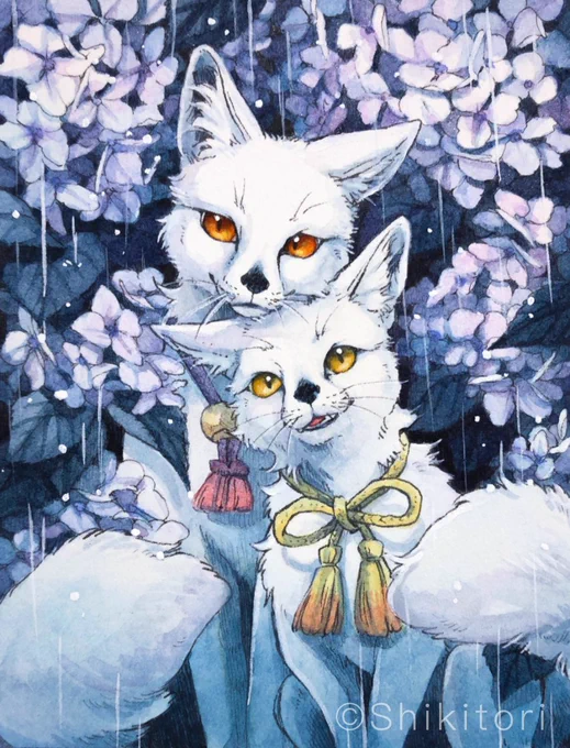 「雨やまないねぇ」
「……そうだね」 