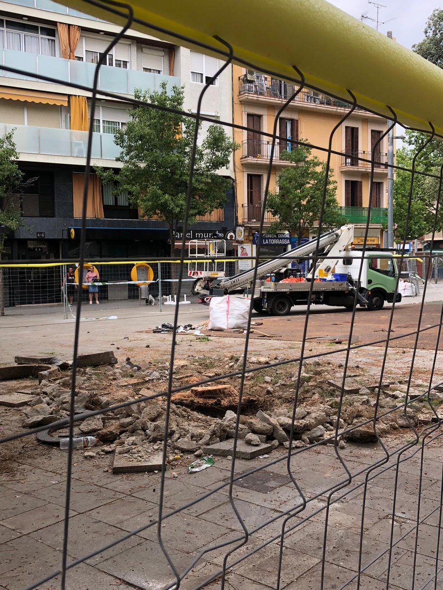 aavvct's tweet photo. Avui hem perdut dos arbres centenaris de la plaça Espanyola, després que  @LHAjuntament es comprometés a no talar-los. Segons la institució, ha estat un error de l'empresa que fa les obres. No hauria d'haver algun tècnic municipal supervisant-les obres? quanta negligència!!! https://t.co/uONDGTWeFw