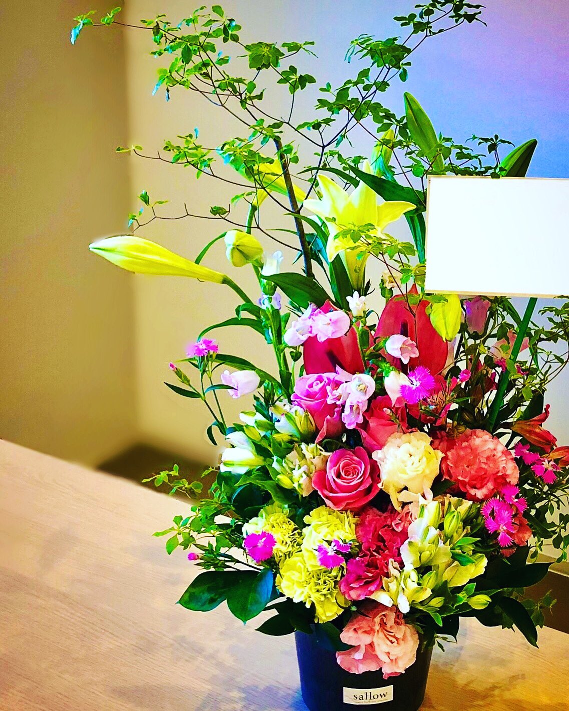 札幌花屋 Sallow サロウ 渡邉直人 Sallow Twitter