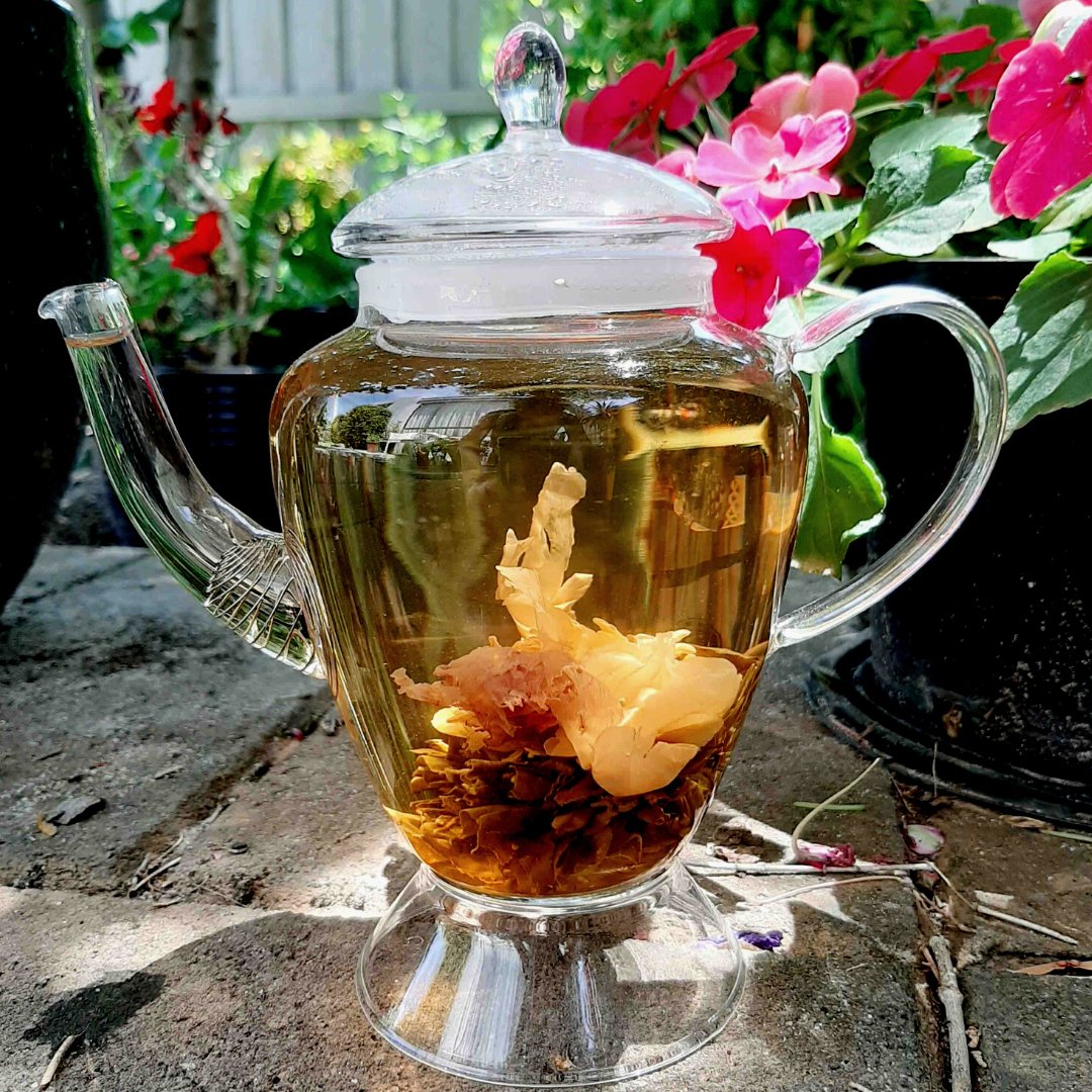 Tea_blossoms's tweet photo. The Blooming Tea Range is a perfect representation of a mini floral bouquet in a teapot, comprising the healing powers of organically harvested tea and the floral benefits 🍃🌸

Discover more at ➔ https://t.co/5SDLKwqaZU

#TeaBlossoms https://t.co/7QEAVvcof0