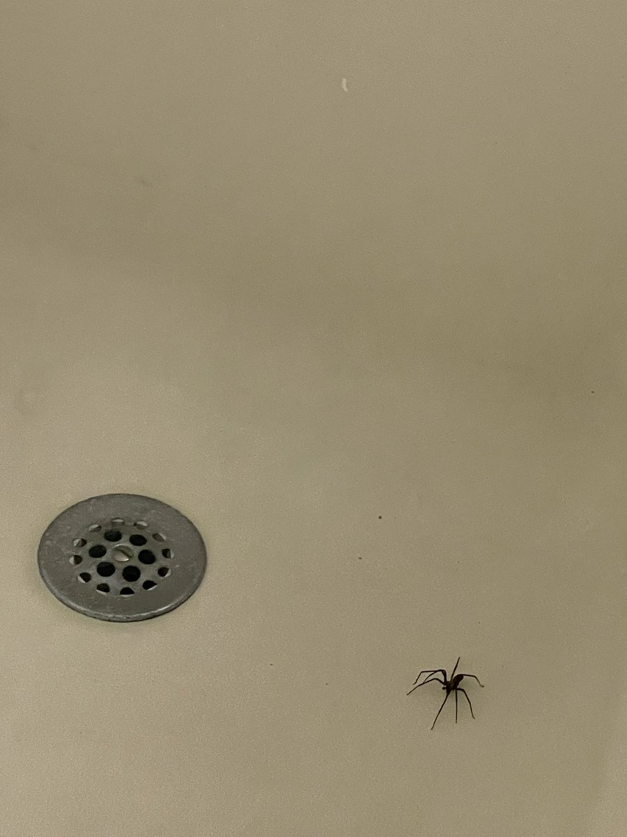 lindsrnorris's tweet photo. @RecluseOrNot Wichita, KS eww https://t.co/GojW0qhhct