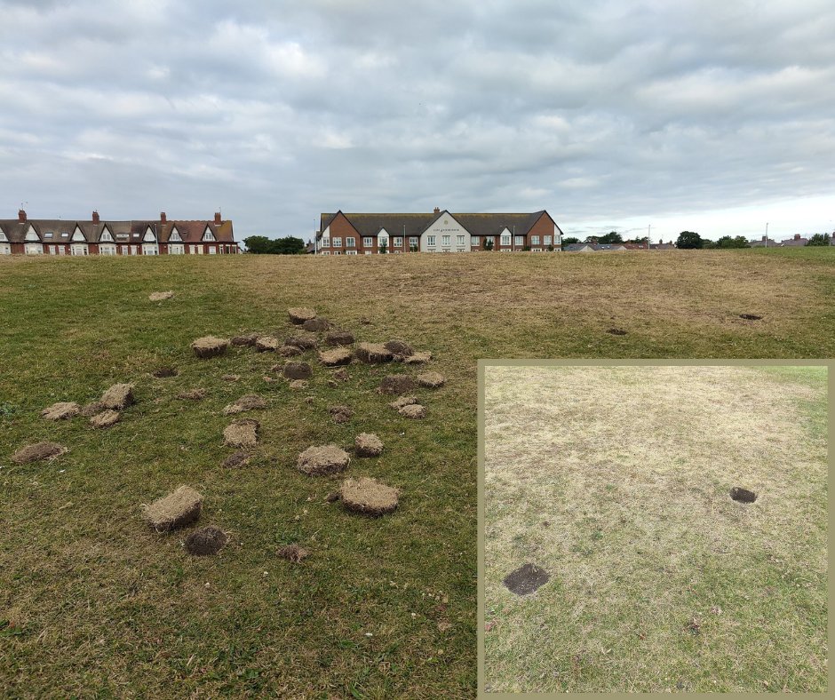 Howay man! 

If this was you... Pack it in please!?

Digging holes, and leaving them, especially in popular, well used areas like this on the Links, Whitley Bay, is dangerous.

A bairn, dog, or (like me) a clumsy and oblivious adult, could easily be hurt by stepping in one.