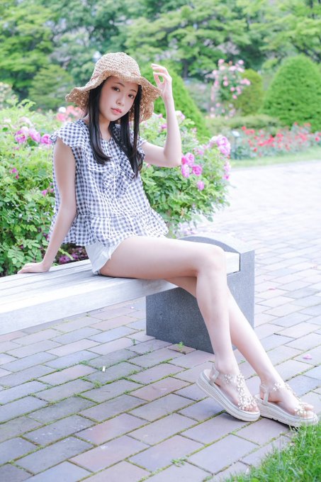 noaのTwitter画像25