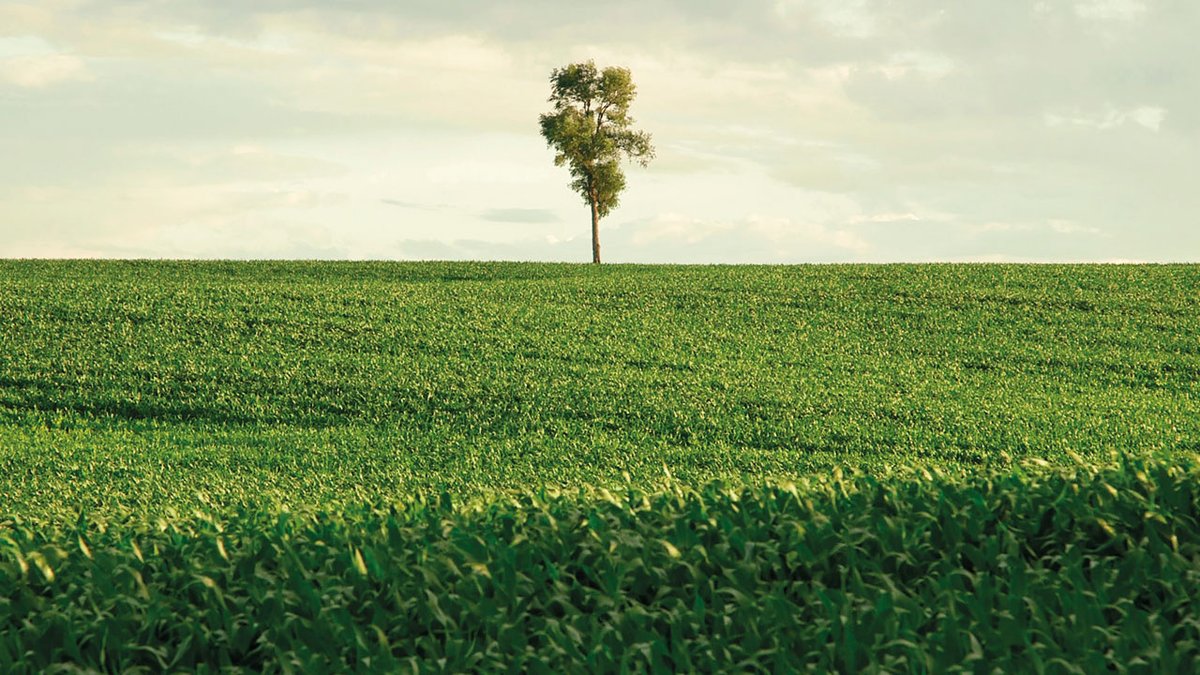 Don't miss Natural Connections, a <a href="/BFI/">BFI</a> series of relaxed screening curated by our collaborator &amp; podcast guest Benjamin Brown, aka Citizen Autistic. The next screening is In Pursuit of Silence on Mon 27 June: bit.ly/3zSCKN5