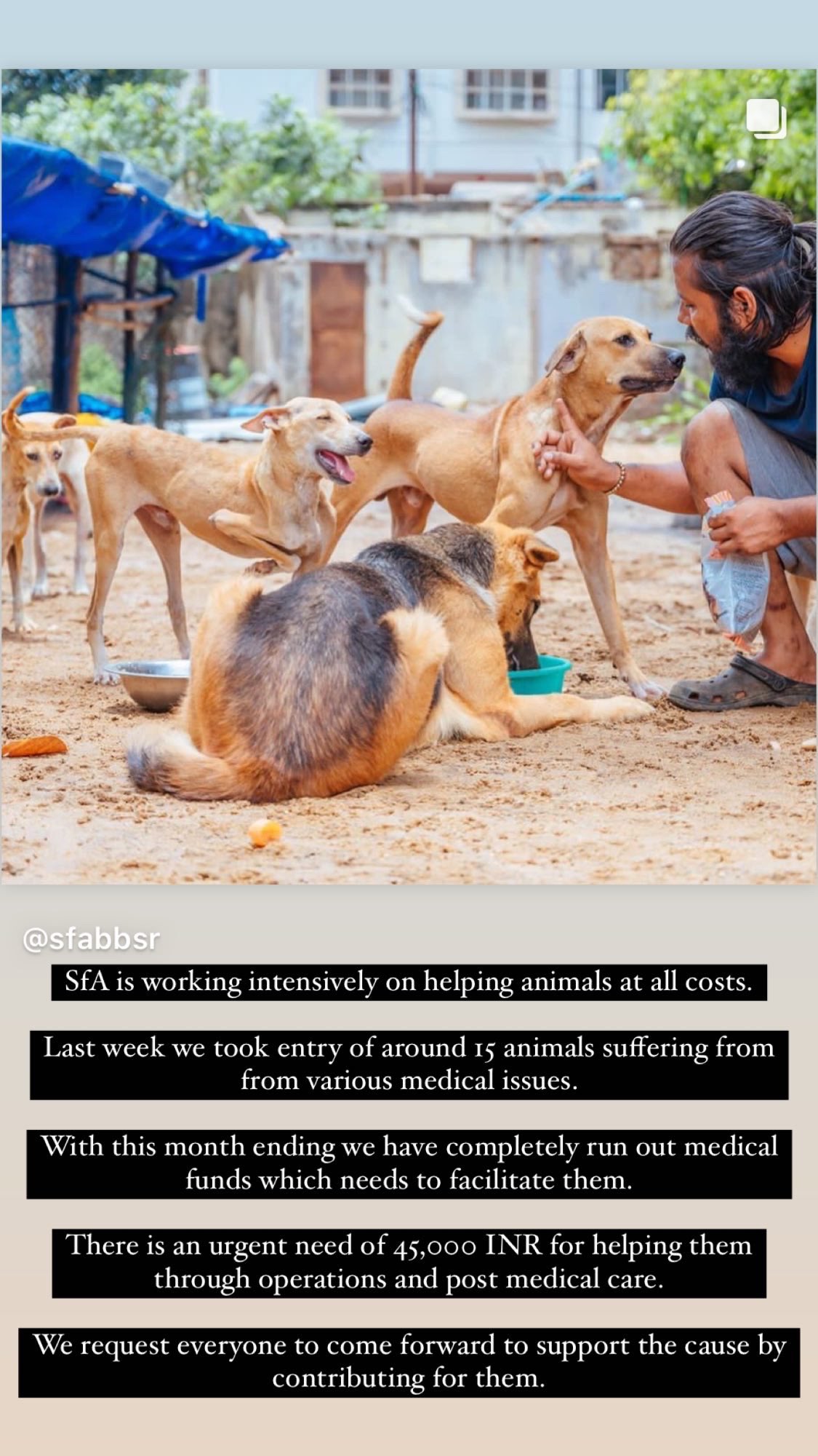 Speak For Animals, Odisha (@speak_animals) / Twitter
