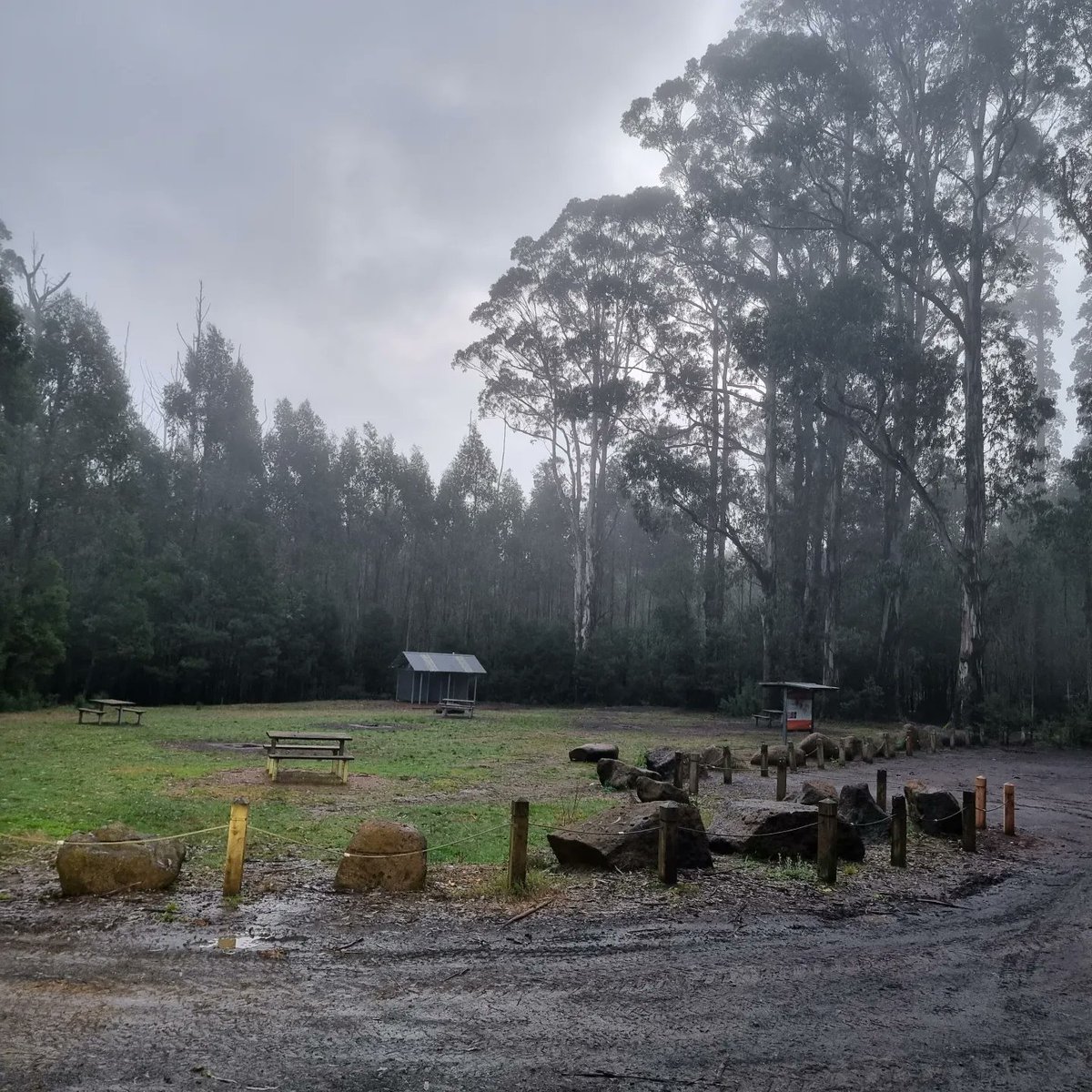 keralavarma's tweet photo. #Dusk #Drive through #mtdisappointment #mountdissappointment #stateforestvictoria in #fog
#Traditional land part of #Kulin nation.
Land looked after by #Wurundjeri tribe in South and #Taungurung tribe in North.
1/2 https://t.co/0mMj3eOJ7C