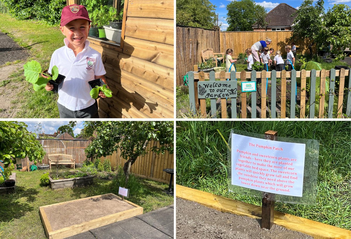 Coomersltd's tweet photo. We were pleased to donate topsoil to #Rowledge Primary School’s Busy Bees Gardening & Wildlife Club. The pupils can now participate in “pumpkin growing” competitions against other schools, and we wish them good luck for later in the season! More at: https://t.co/CRh0GlINld 🎃🐝 https://t.co/T8Hbbz6JlB