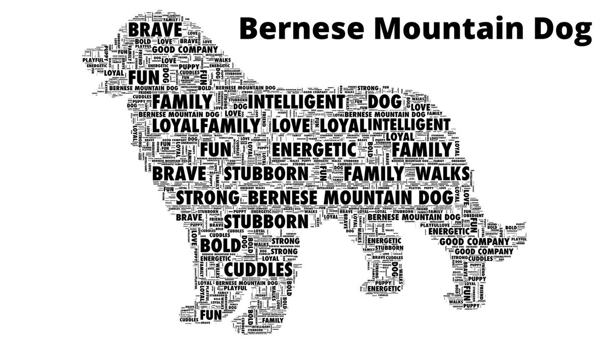 Bernese Mountain Dog, Boxer, Weimaraner Personalised Dog Word Art Print. Fabulous gift for a dog lover. go.shr.lc/2Vxcshj #SNRTG #TweetUK
