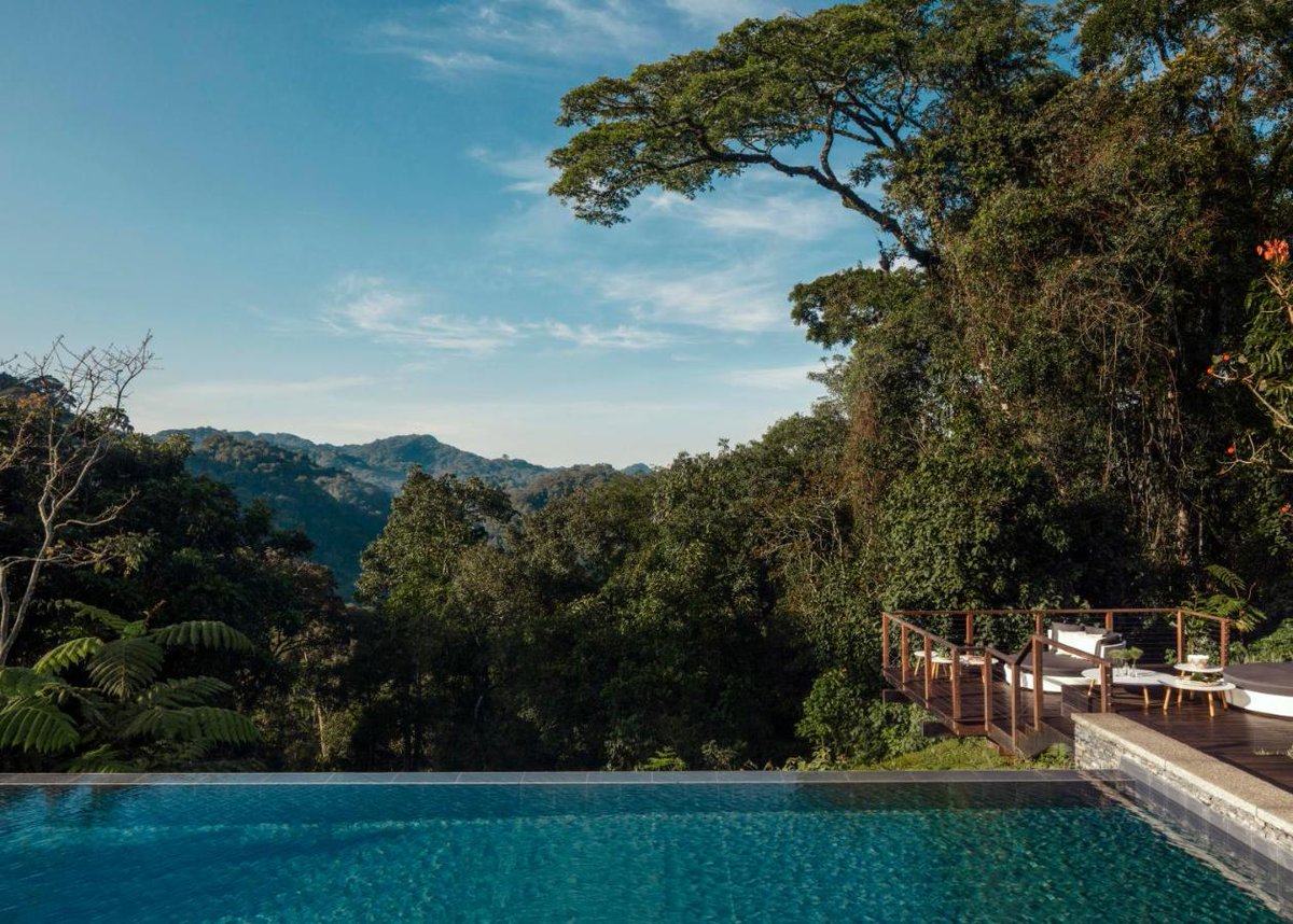 It's not too late to book a 'Visit Rwanda' tour this summer. Contact us for a summer vacation in Rwanda
#summer #VisitRwanda #RwOT #vacation #travel #Safari