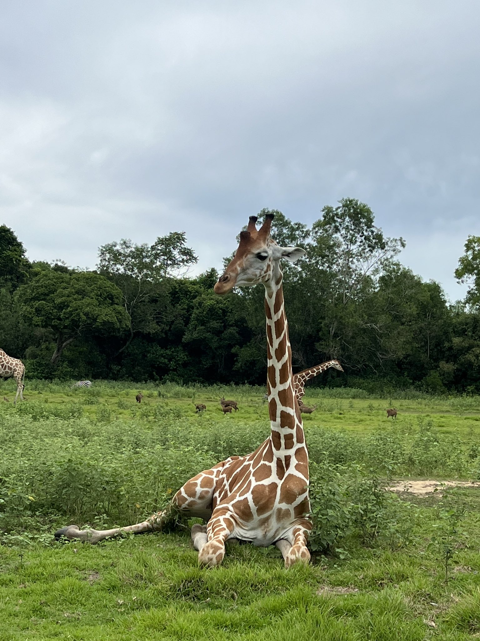 Happy birthday kim ryeowook!!! 