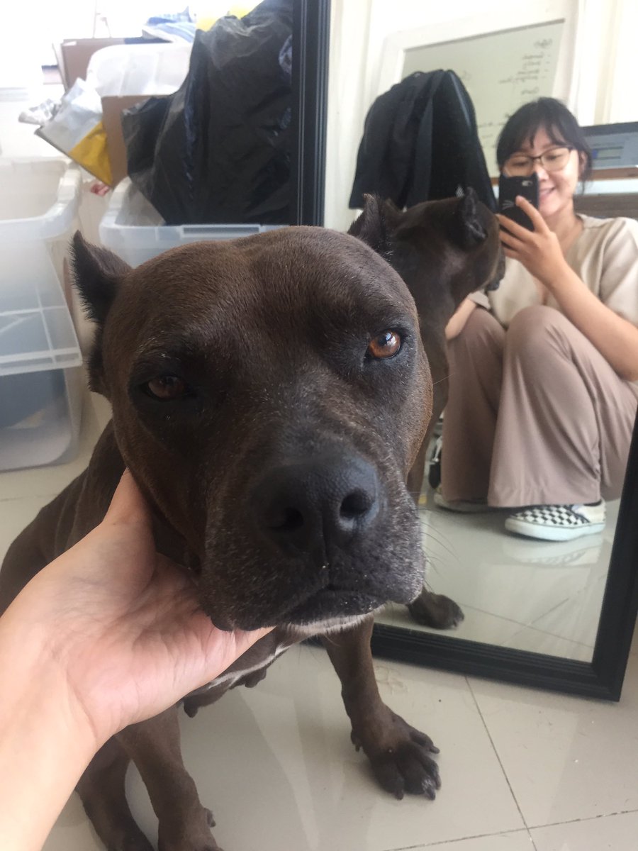 brigitalr's tweet image. cewek cewek bumi