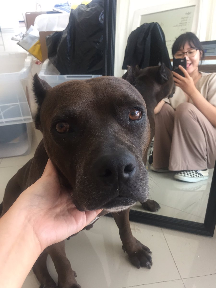 brigitalr's tweet image. cewek cewek bumi