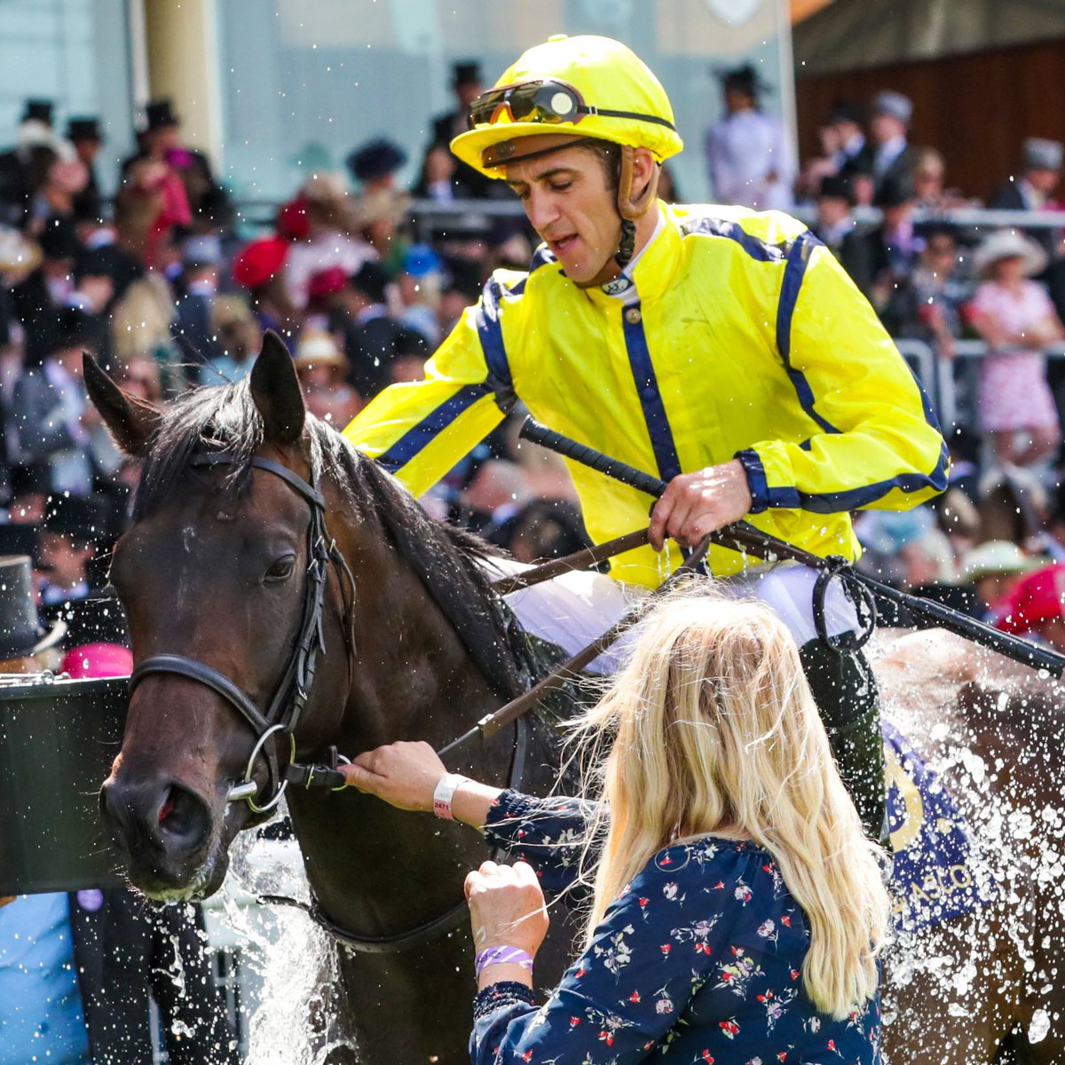 WHO would win - Good | 6f:

❤️ | NATURE STRIP
𝐑𝐓 | PERFECT POWER

#DreamClash