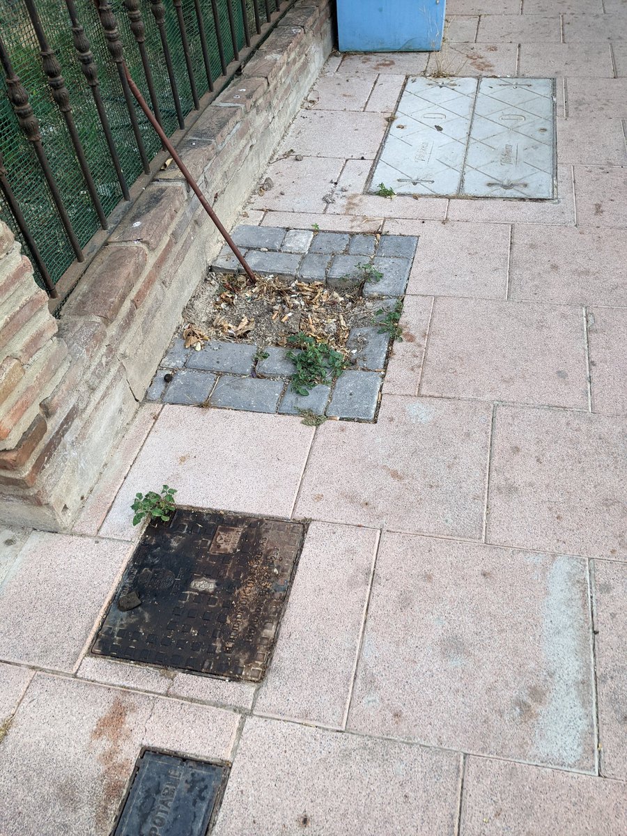 psoeestepona's tweet photo. 👉Lamentamos el maltrato por parte del alcalde de Estepona García Urbano a las barriadas de Fuerzas Armadas y calles de los ríos. 
👉Hace falta una gestión responsable de los recursos municipales y maquinaria para eliminar la suciedad.

☔¿Estamos esperando a qué llueva ? https://t.co/vF9RJmoGmY