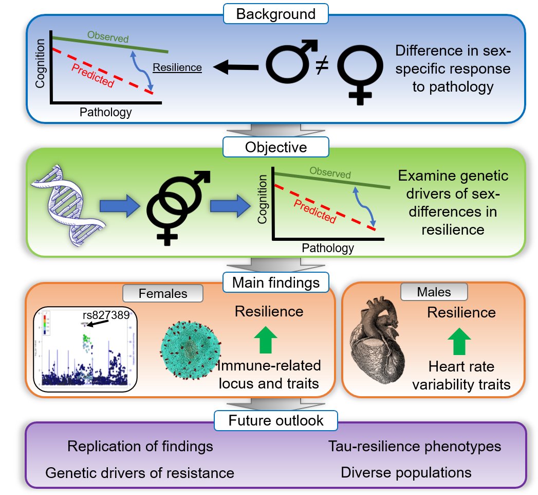 Colin Groot (@colin__groot) on Twitter photo Out now in <a href="/Brain1878/">Brain</a>: "Do genetic factors contribute to sex-specific differences in resilience to Aβ pathology?" bit.ly/3HPtGdJ
<a href="/RikOssenkoppele/">RikOssenkoppele</a>, <a href="/HolstegeHenne/">HenneHolstege</a>
A commentary on an amazing paper: bit.ly/3QBrZVb led by <a href="/jackieeissman/">Jackie Eissman, PhD</a>, @timothyjhohman Out now in <a href="/Brain1878/">Brain</a>: "Do genetic factors contribute to sex-specific differences in resilience to Aβ pathology?" bit.ly/3HPtGdJ
<a href="/RikOssenkoppele/">RikOssenkoppele</a>, <a href="/HolstegeHenne/">HenneHolstege</a>
A commentary on an amazing paper: bit.ly/3QBrZVb led by <a href="/jackieeissman/">Jackie Eissman, PhD</a>, @timothyjhohman