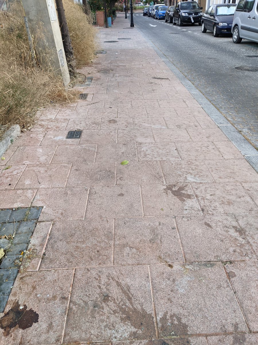psoeestepona's tweet photo. 👉Lamentamos el maltrato por parte del alcalde de Estepona García Urbano a las barriadas de Fuerzas Armadas y calles de los ríos. 
👉Hace falta una gestión responsable de los recursos municipales y maquinaria para eliminar la suciedad.

☔¿Estamos esperando a qué llueva ? https://t.co/vF9RJmoGmY