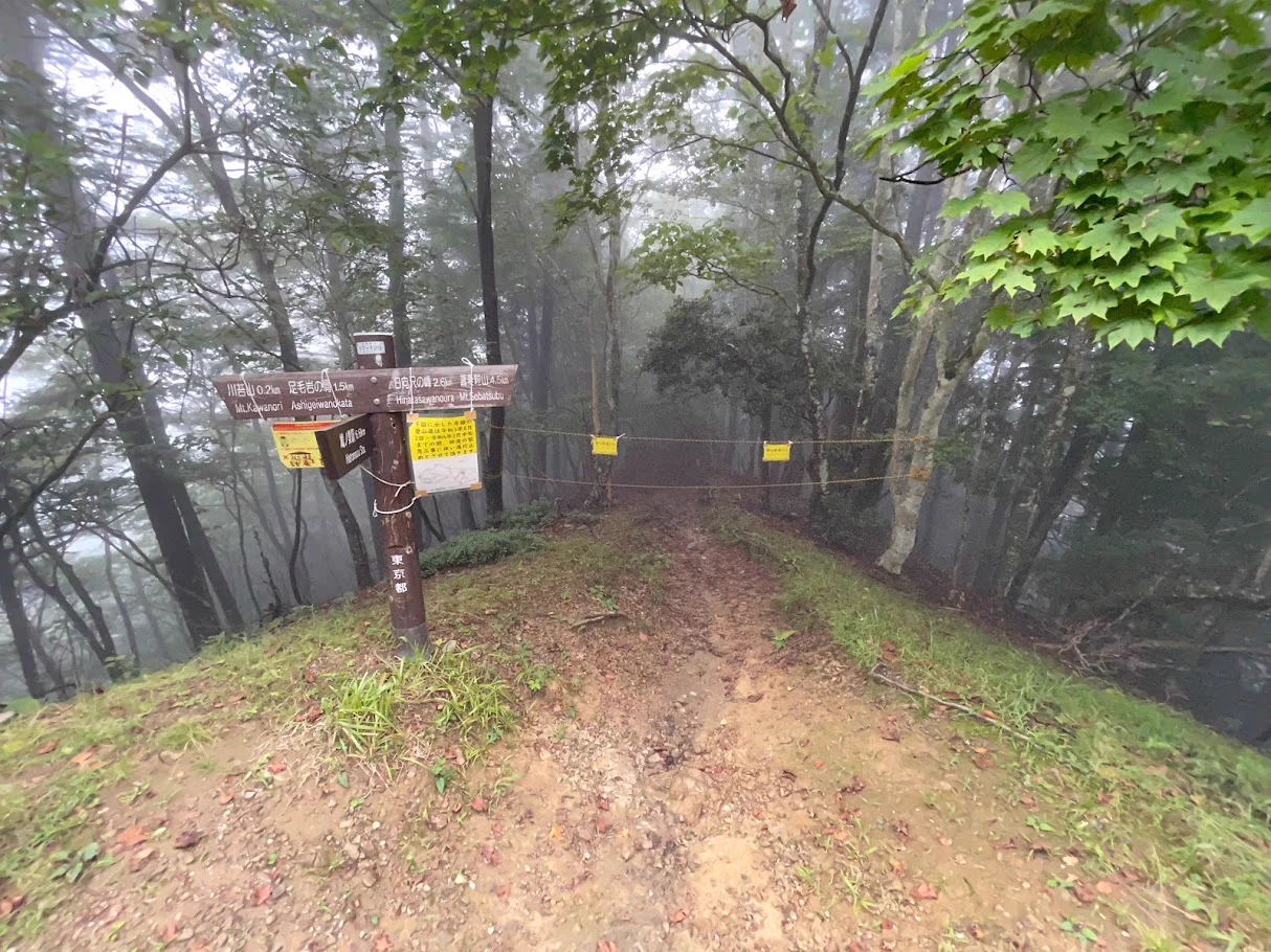 登山する人は確認しよう！登山道を離れてしまった可能性がある様々なチェックポイント！