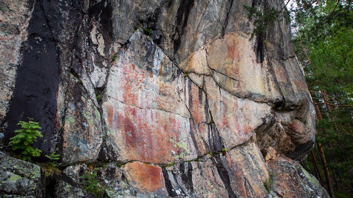 Saimaa UNESCO Global Geopark tweet media