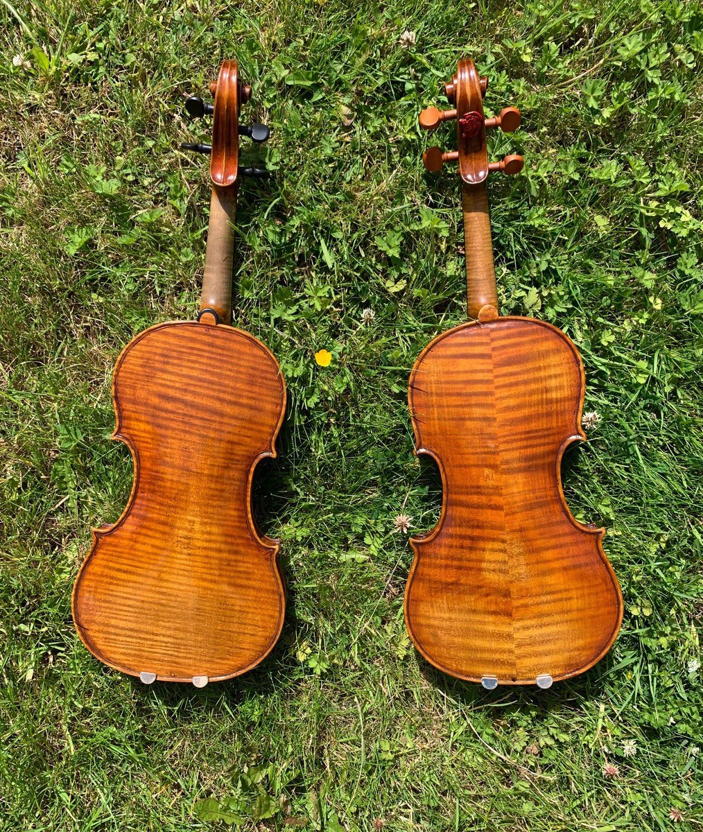 HansellViolins's tweet photo. Two beautiful violins basking in the Summer Solstice sunshine. 
Both are available to try, buy and sound amazing. Please get in touch for further details.
#ilcannone #ysaye #luthier #stringinstruments #sound
#tone #orchestra #whatsonmybench #lovemyjob https://t.co/4Lmg9s8n4I
