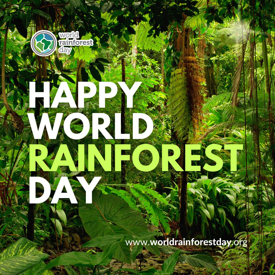 #WorldRainforestDay Photo,#WorldRainforestDay Photo by Plantlife Int.,Plantlife Int. on twitter tweets #WorldRainforestDay Photo
