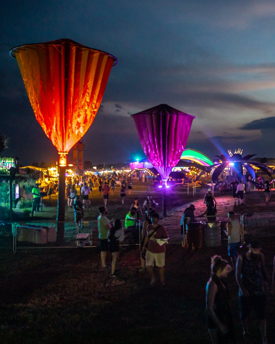 Electric Forest ⚡🌲 tweet media