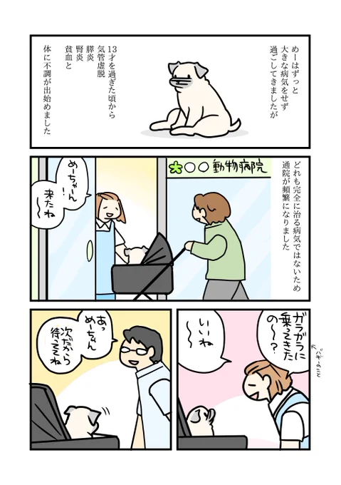 動物病院とめー 