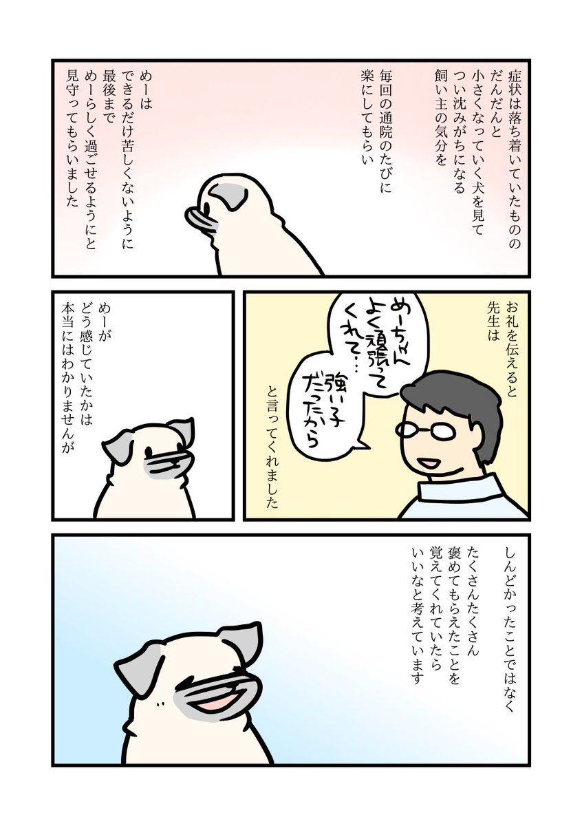 動物病院とめー 