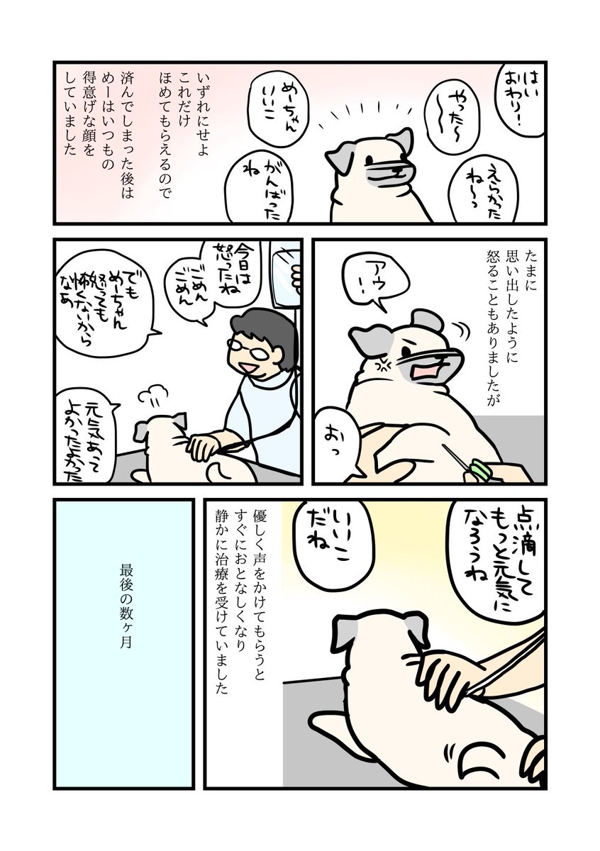 動物病院とめー 