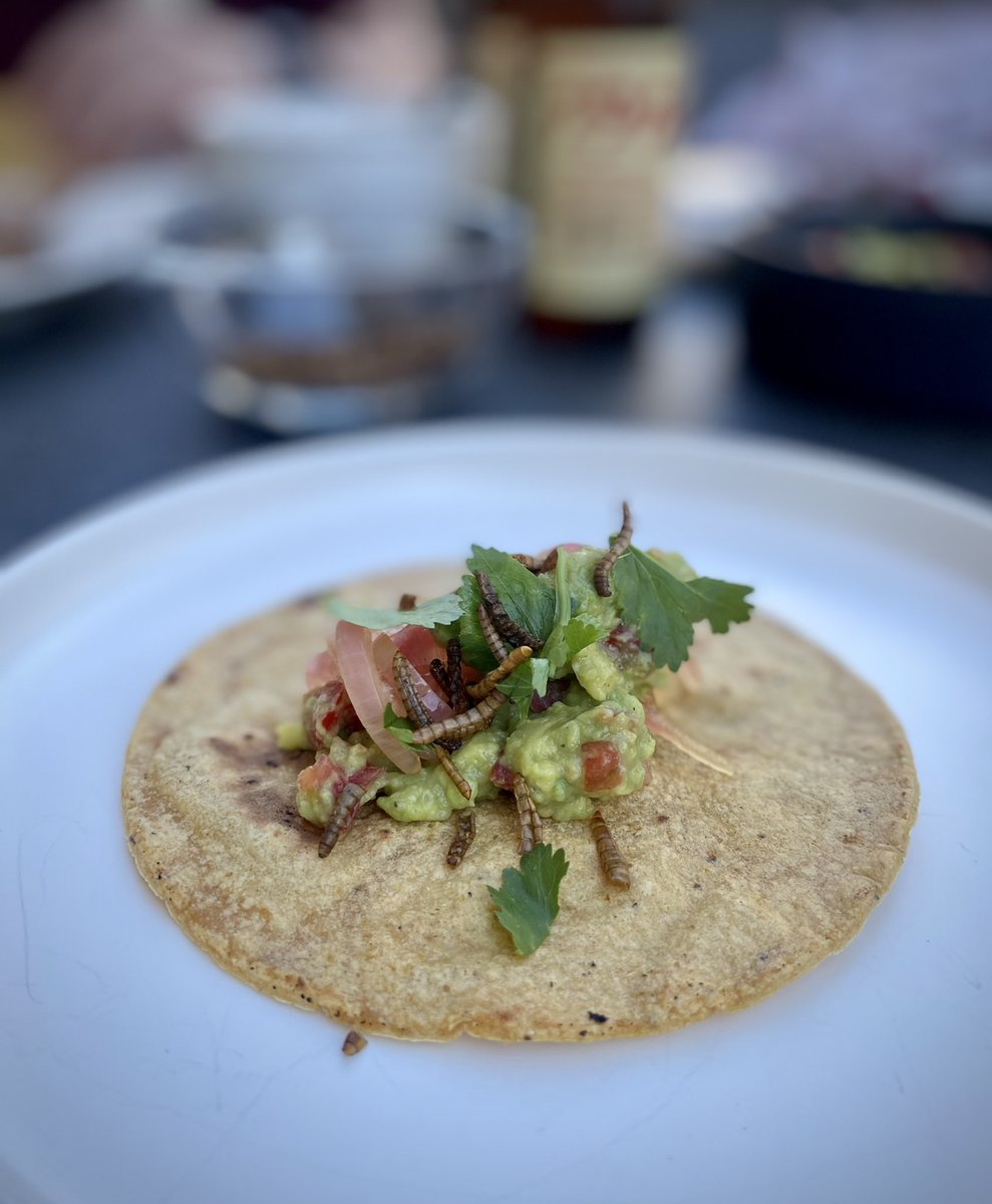 zumfressngern's tweet image. Mexikanische Experimente in der Küche: Mich faszinieren die Gerichte aus der Region Oaxaca und da kommt man an Insekten nicht vorbei 🦗

Würmli oder Grillen in Tacos 🌮 und Salat. Klingt schräg, schmeckt dafür umso besser 😆😇 

Danke @essentofood für Rohstoffe 😘