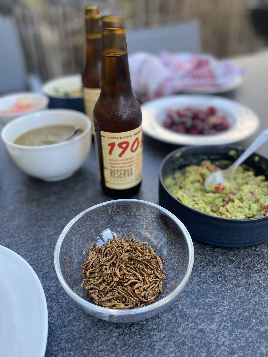 zumfressngern's tweet image. Mexikanische Experimente in der Küche: Mich faszinieren die Gerichte aus der Region Oaxaca und da kommt man an Insekten nicht vorbei 🦗

Würmli oder Grillen in Tacos 🌮 und Salat. Klingt schräg, schmeckt dafür umso besser 😆😇 

Danke @essentofood für Rohstoffe 😘