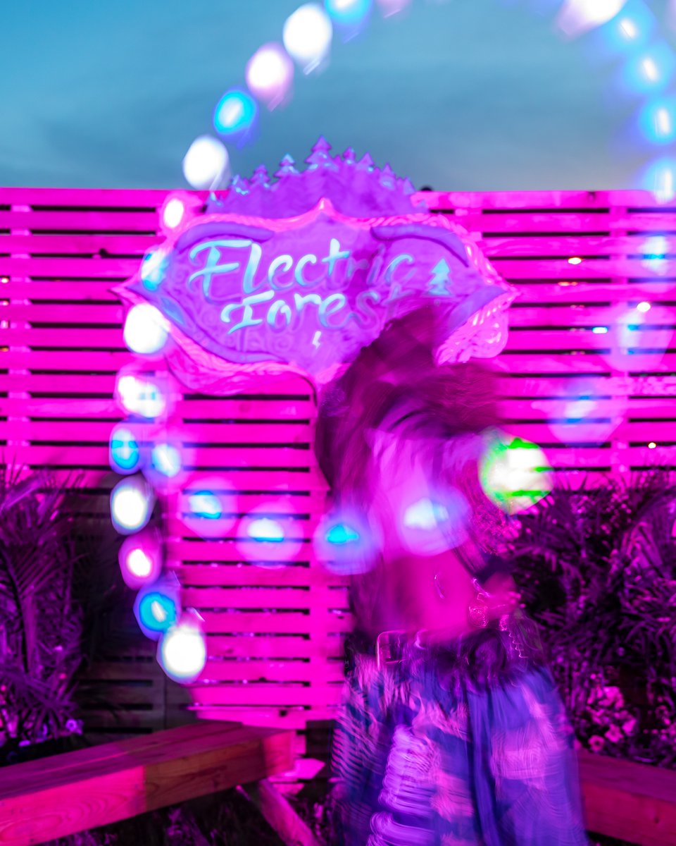 Electric Forest ⚡🌲 tweet media