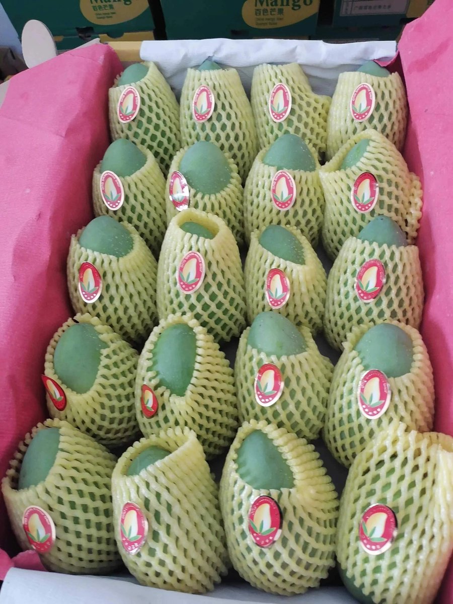 samsir1997's tweet photo. 我和芒果哥一起合作联动，决定抽三箱五斤的小芒果给粉丝！具体几箱要看参与的人数哦！大家支持支持大学生Web3创业！很不错的小伙子，参加办法：转发+关注
@hwl0001 @samsir1997 
  评论区Tags 3个好友参加哦！！ #NFT https://t.co/KQhYGp07Ze