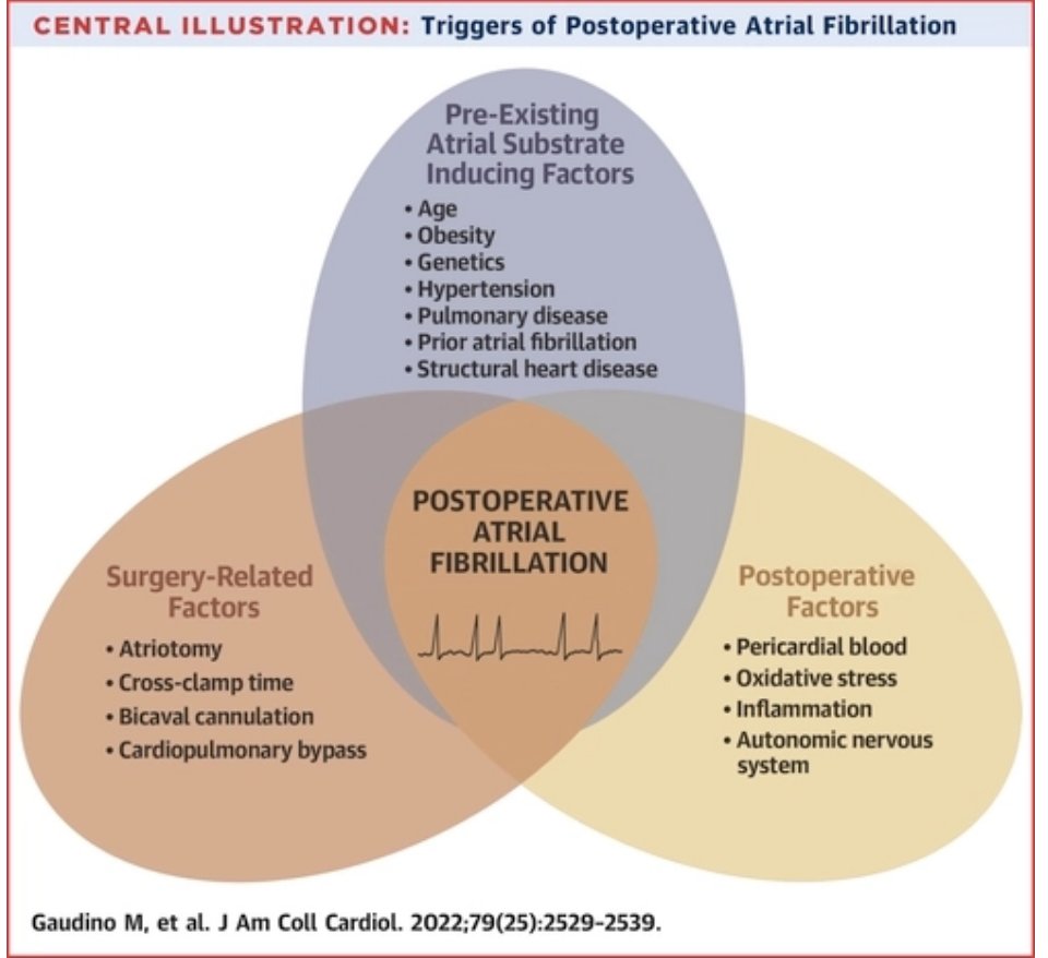 fikkumamoto's tweet photo. From @jaccjournals https://t.co/kUGcJkbPxN https://t.co/clb4wF77zu