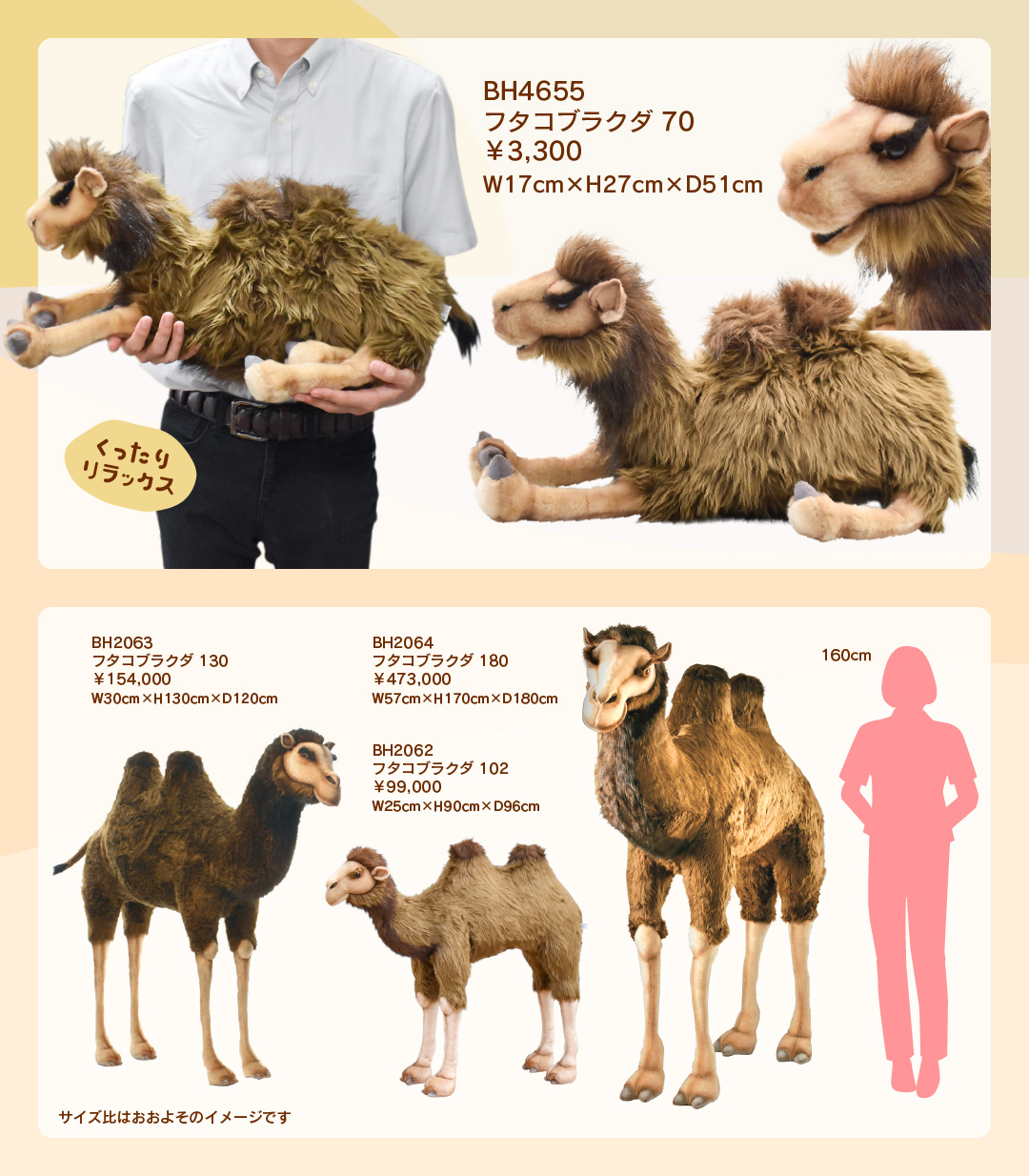 ハンサ ラクダ ハンサ ラクダ