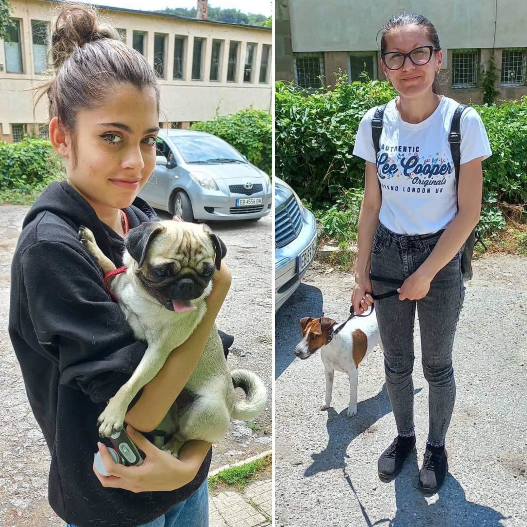 StreetHeartsBG's tweet photo. These four dogs from #Tryavna and #Dryanovo were neutered last week as part of our neutering campaign! If you’re a dog owner who lives in either of these areas, please call 087 827 0760 to have your dog neutered. It’s completely free! https://t.co/isEOF0Yo0J