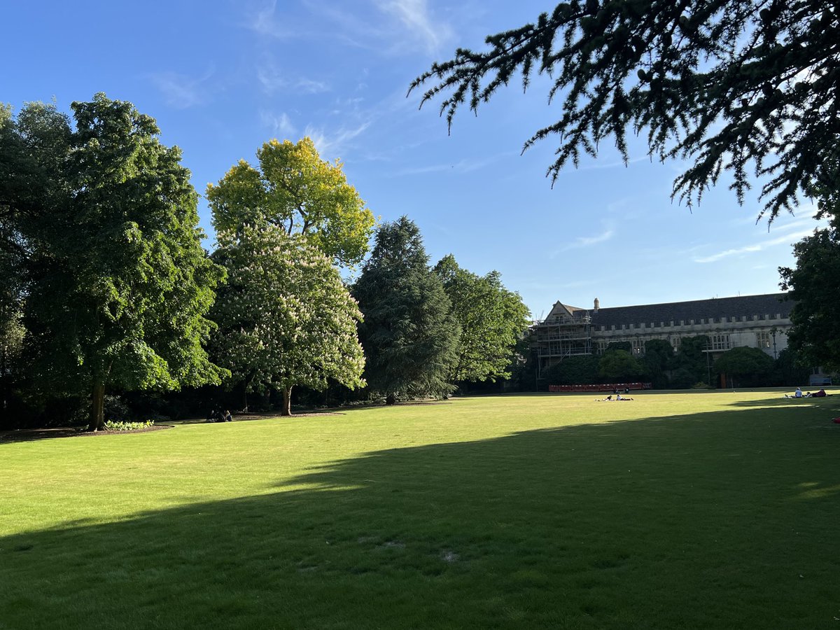 #solstice ⁦<a href="/StJohnsOx/">St John's College</a>⁩ long rays of evening sun illuminating trees on Trinity Coll wall &amp; Great Lawn