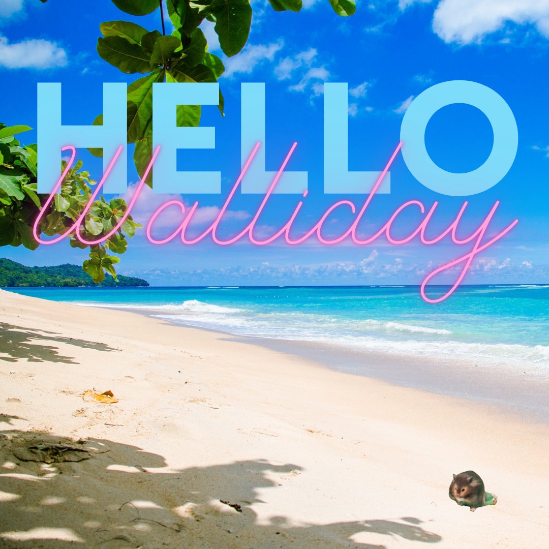 pr3sidentkang's tweet photo. Looked after my friend's hamster, Walter, this week. We had fun... 

#walliday #hamster #canva https://t.co/UNbOKuQonK