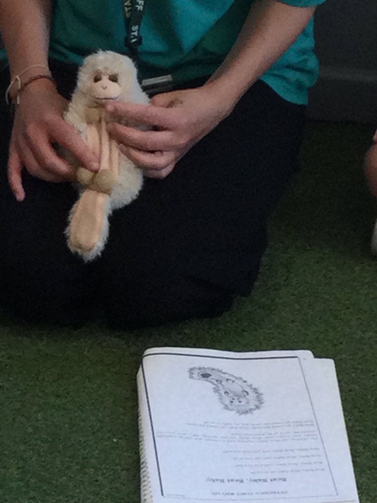 Endike Nursery Class tweet media