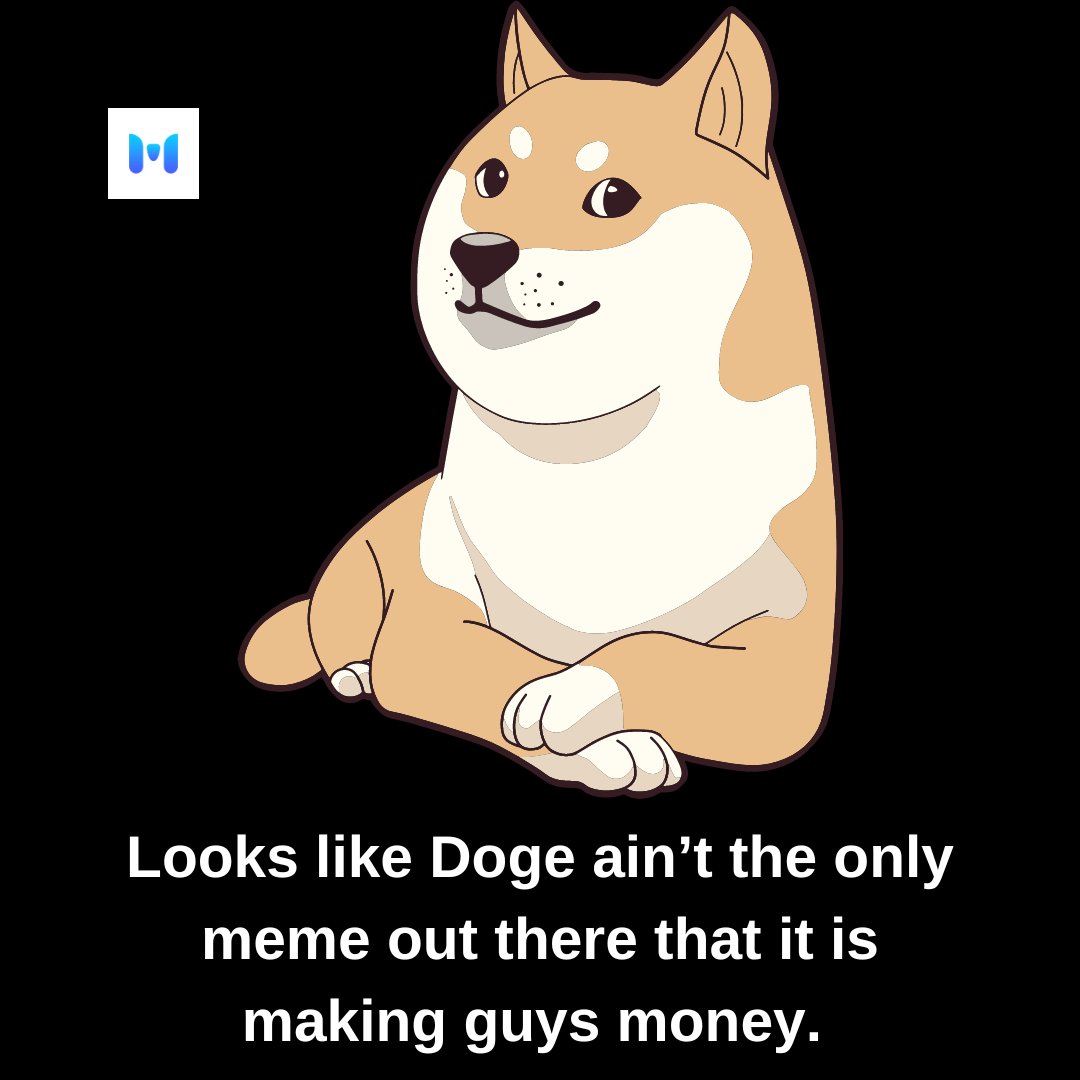 metanftials's tweet photo. Doge ain't the only meme..😂

#metanftials #nftart #nftartist #nftcommunity #nftcollector #nftcollectibles #nftcreation #nftcreator https://t.co/olXSiCGyJ9